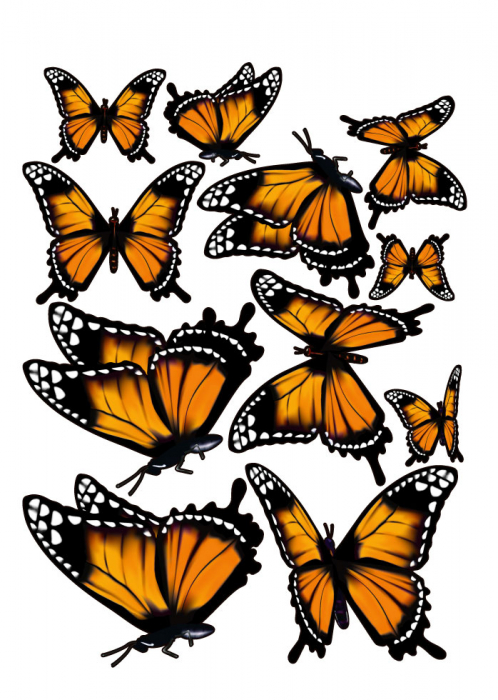 Sticker decorativ - Fluturi portocalii [2]