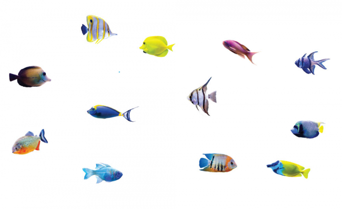 Sticker decorativ - Pestisori draguti [2]