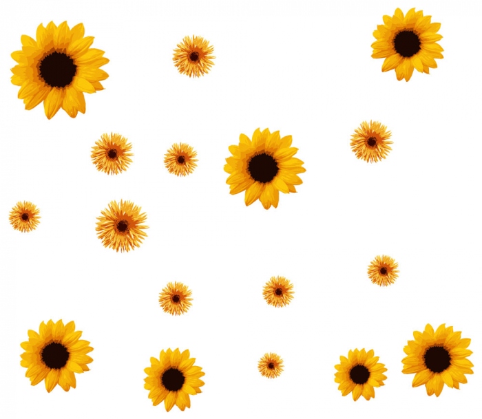 Sticker Decorativ - Floarea Soarelui [2]