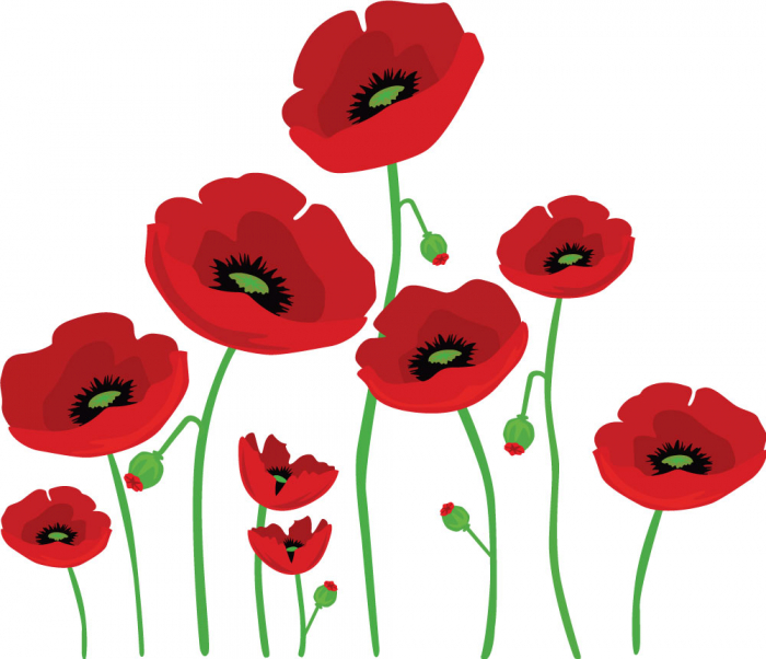 Sticker Decorativ - Creste macul [2]