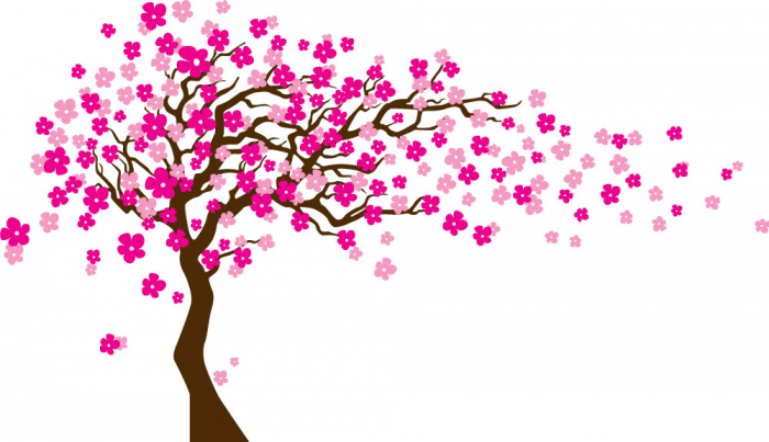 Sticker Decorativ - Floare de ciresi [2]