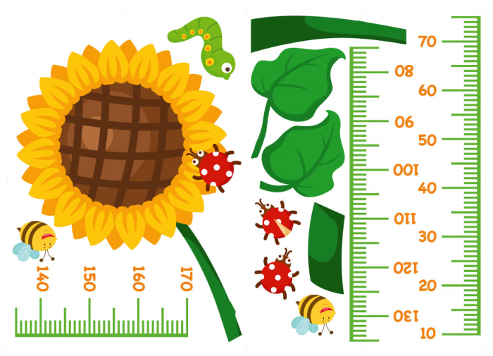Sticker decorativ - Masuratoare cu floarea soarelui [2]