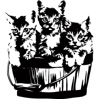 Sticker Galeata cu Pisici [2]