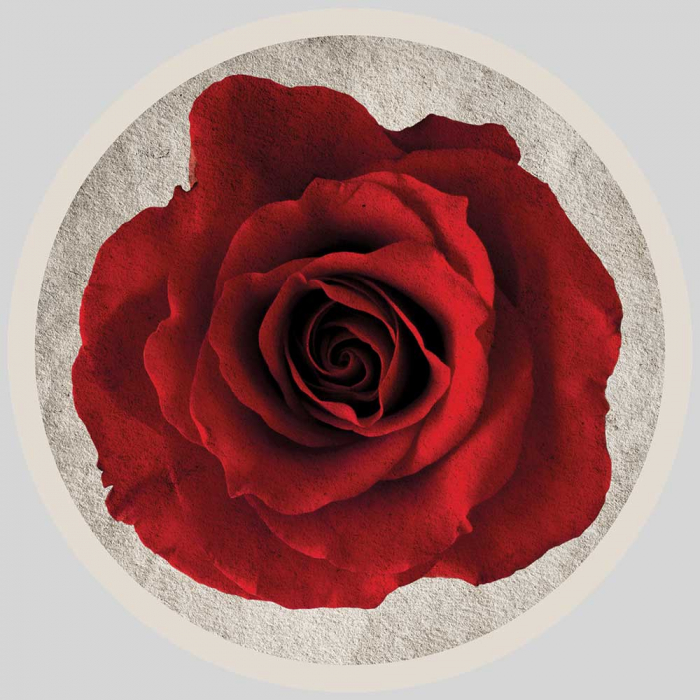 Sticker pentru faianta Rose - 4 buc [2]