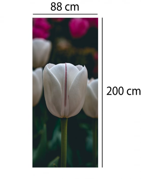 Autocolant decorativ pentru Usa - Lalea [2]