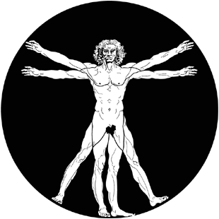 Sticker Vitruvian Man [2]