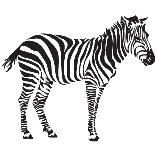 Sticker Zebra [2]