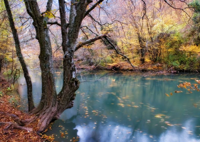 The Beauty of the Nature [2]