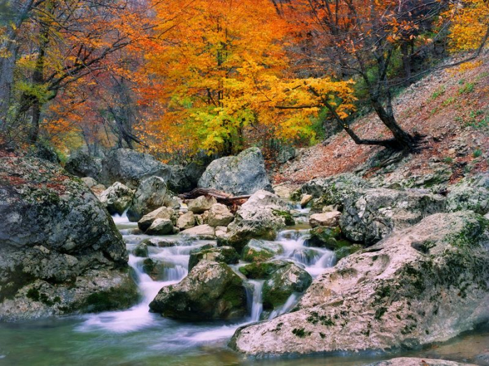 Colourful Mountain Stream [2]