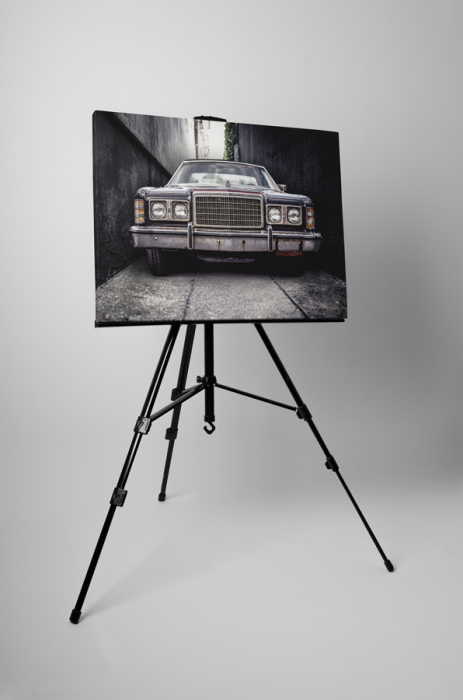 Tablou canvas : Masina americana [3]