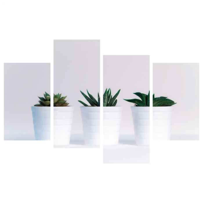 Tablou canvas 4 piese - Plante in ghiveci [3]
