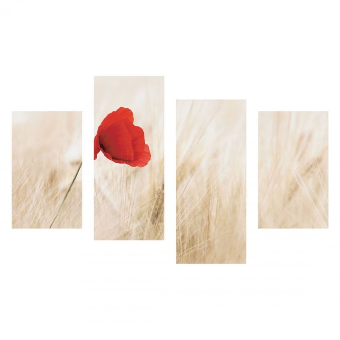 Tablou canvas 4 piese - Macul [2]