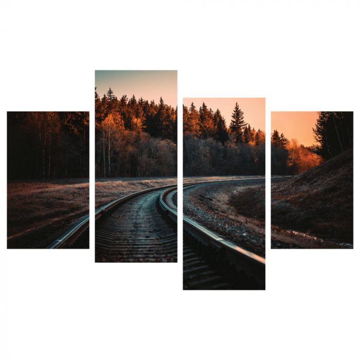 Tablou canvas 4 piese - Sine de tren [3]