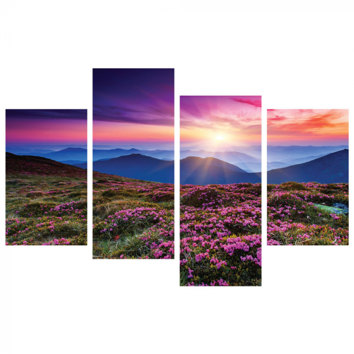 Tablou canvas 4 piese - Rasarit inflorit [2]
