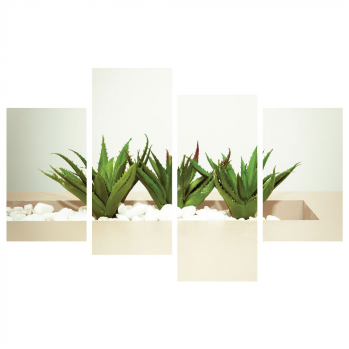Tablou canvas 4 piese - Plante [3]