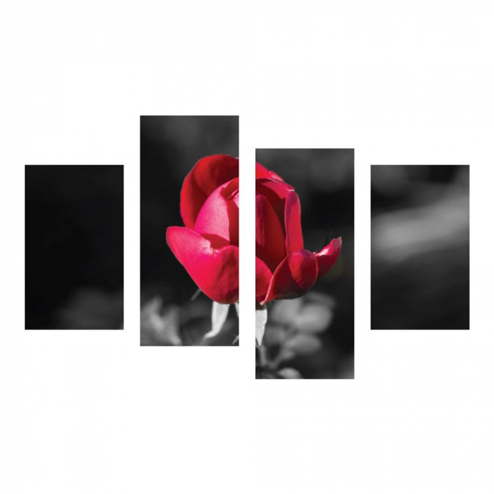 Tablou canvas 4 piese - Boboc [2]