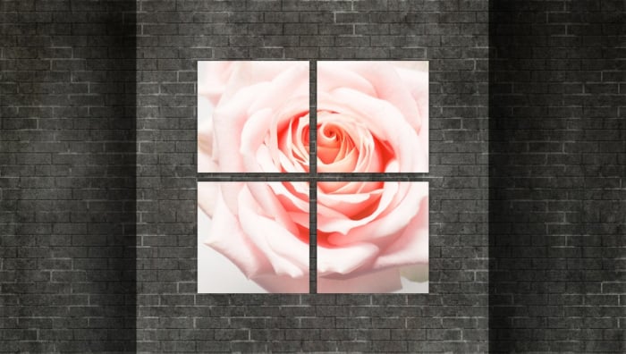 Tablou canvas 4 piese - Trandafir roz [2]