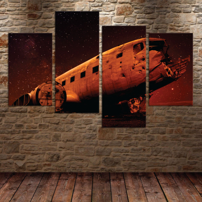 Tablou canvas 4 piese - Epava de avion [3]