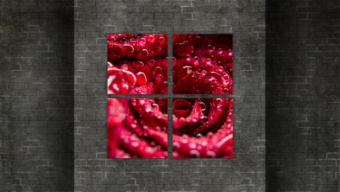 Tablou canvas 4 piese - Trandafir umed [2]
