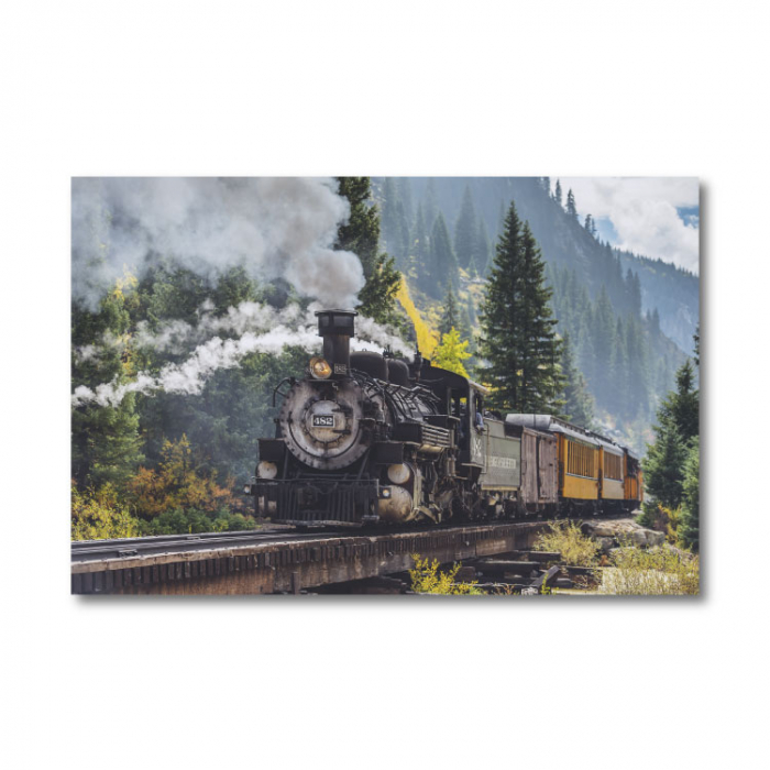 Tablou canvas 60x90 cm - Tren [2]