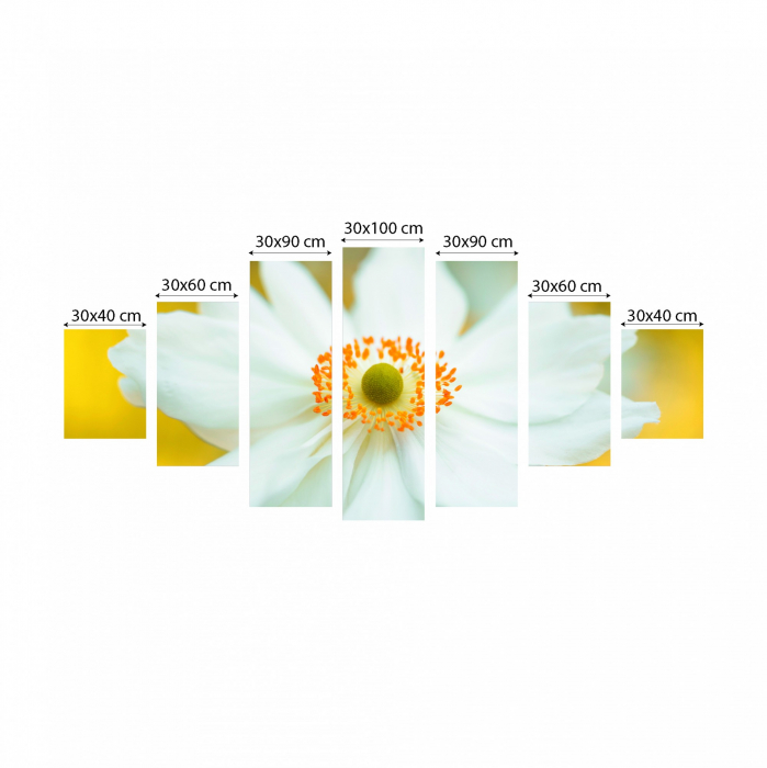 Tablou canvas 7 piese - Floare alba [3]