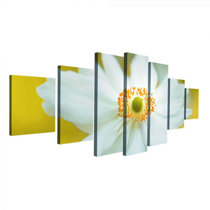 Tablou canvas 7 piese - Floare alba [4]