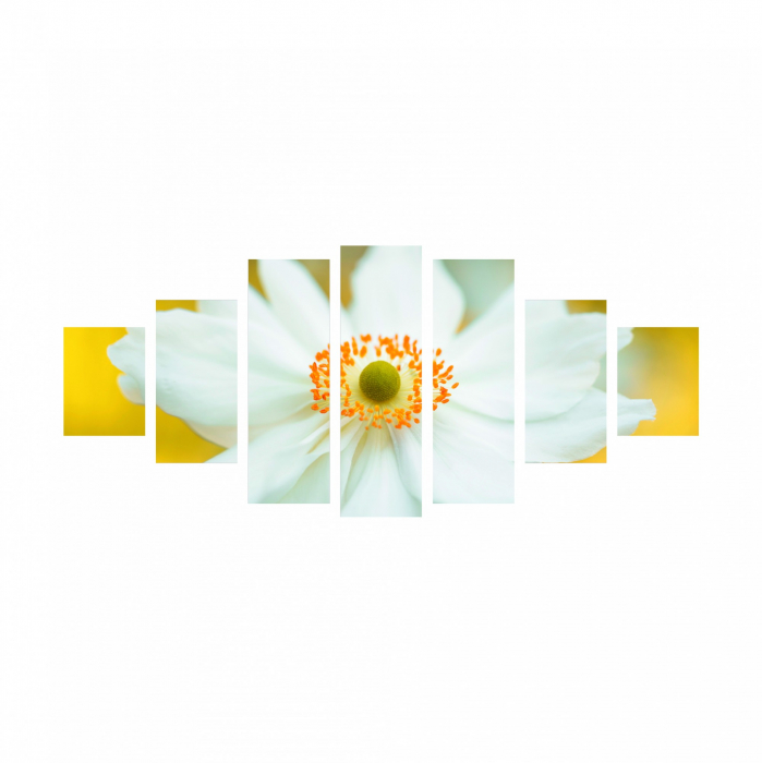 Tablou canvas 7 piese - Floare alba [2]