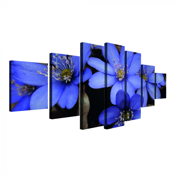 Tablou canvas 7 piese - Anemone americana [4]