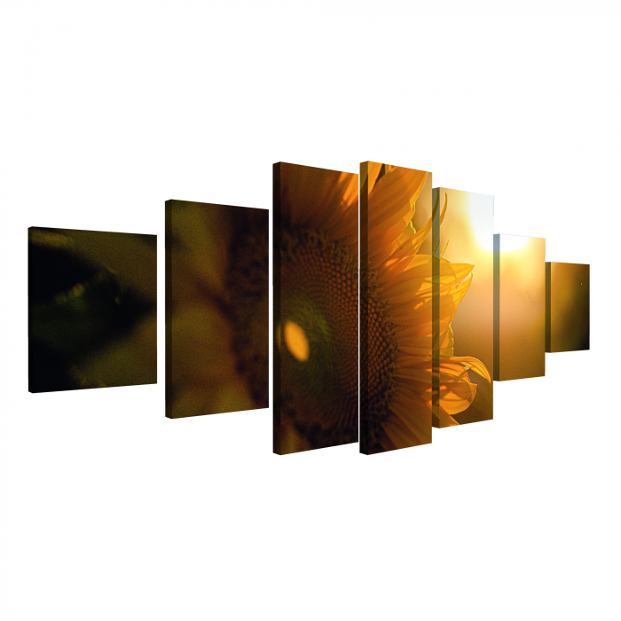 Tablou canvas 7 piese - Floarea soarelui [4]