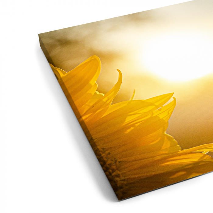Tablou canvas 7 piese - Floarea soarelui [5]