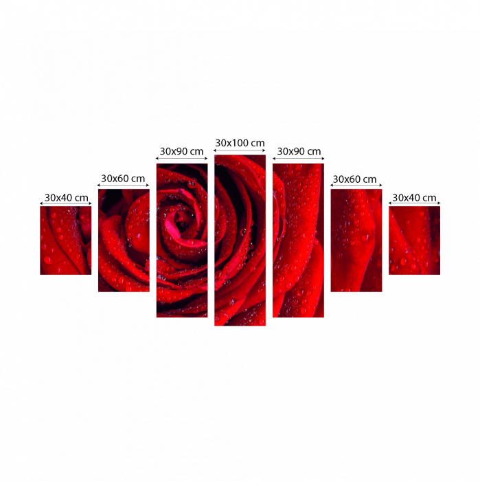 Tablou canvas 7 piese - Trandafir rosu [3]