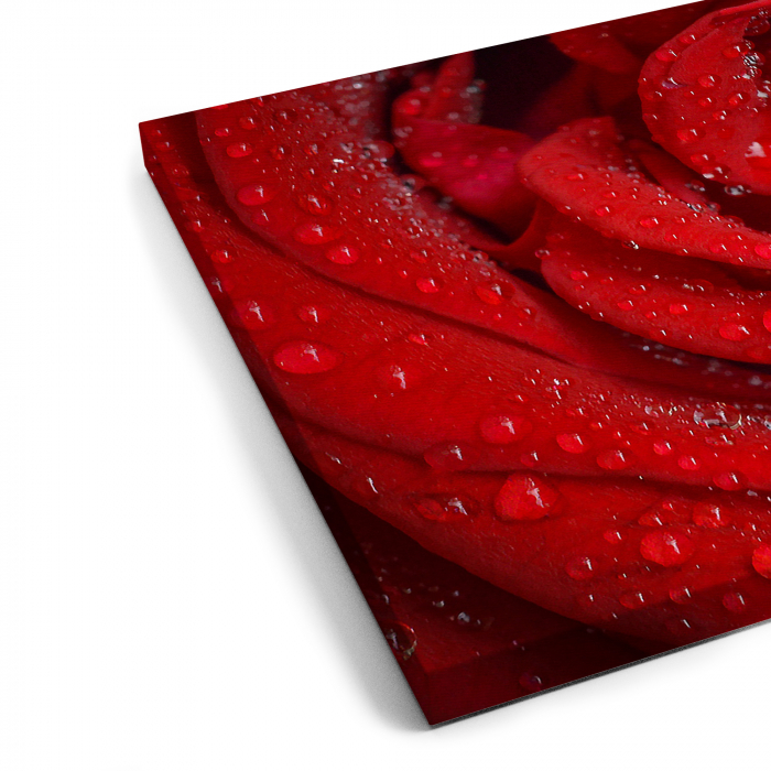Tablou canvas 7 piese - Trandafir rosu [6]