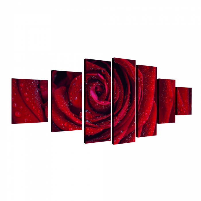 Tablou canvas 7 piese - Trandafir rosu [4]