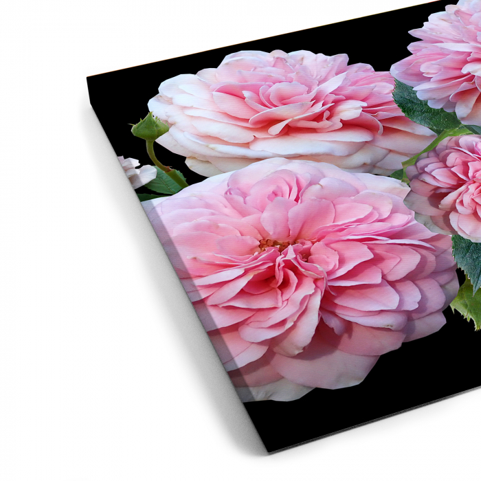 Tablou canvas 7 piese - Bujori roz [5]
