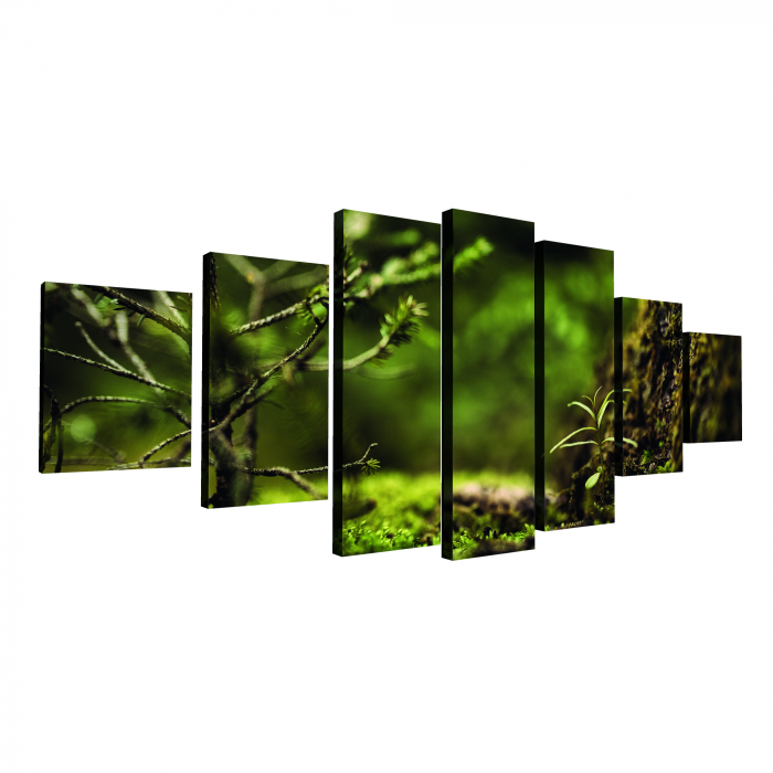 Tablou canvas 7 piese - Padure verde [4]