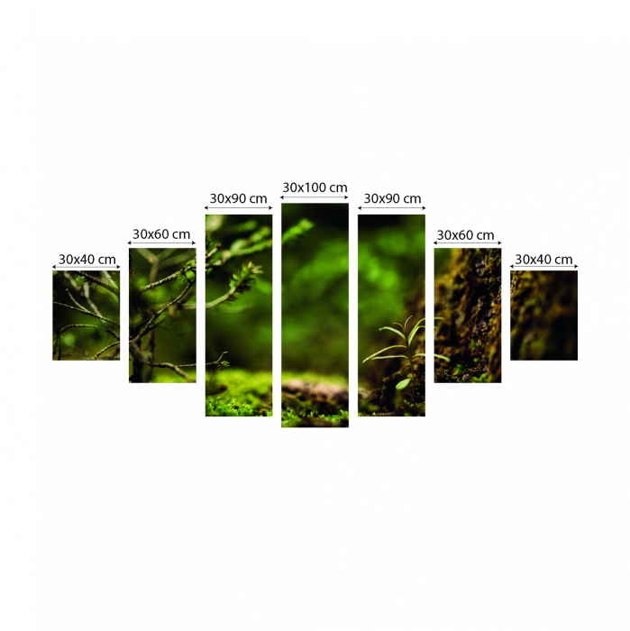 Tablou canvas 7 piese - Padure verde [3]