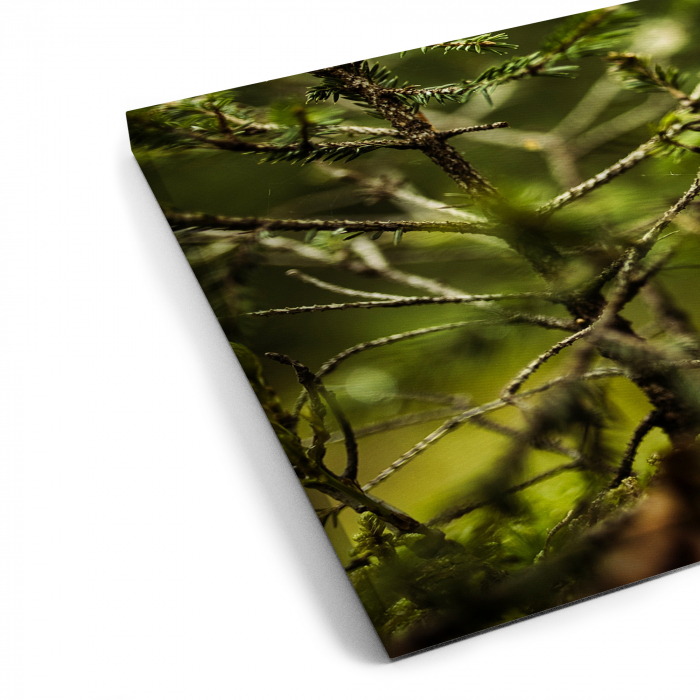 Tablou canvas 7 piese - Padure verde [6]