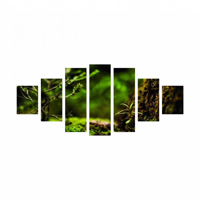 Tablou canvas 7 piese - Padure verde [2]