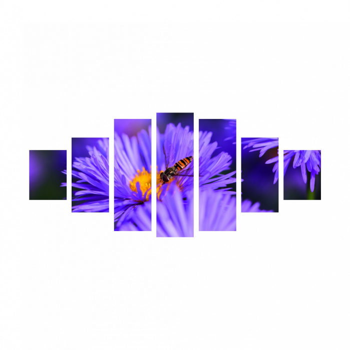 Tablou canvas 7 piese - Aster [2]