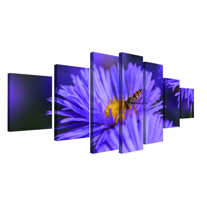 Tablou canvas 7 piese - Aster [4]