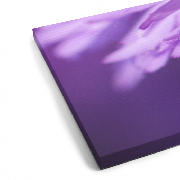 Tablou canvas 7 piese - Aster [5]