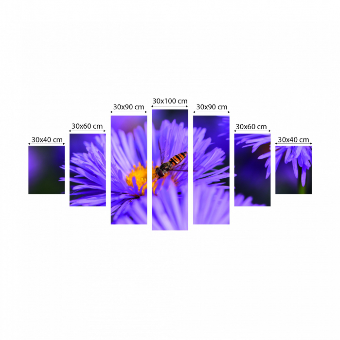Tablou canvas 7 piese - Aster [3]