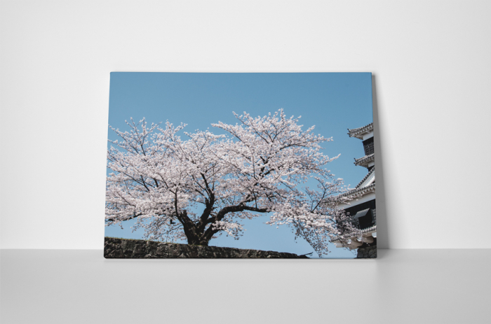 Tablou canvas : Cires japonez [2]