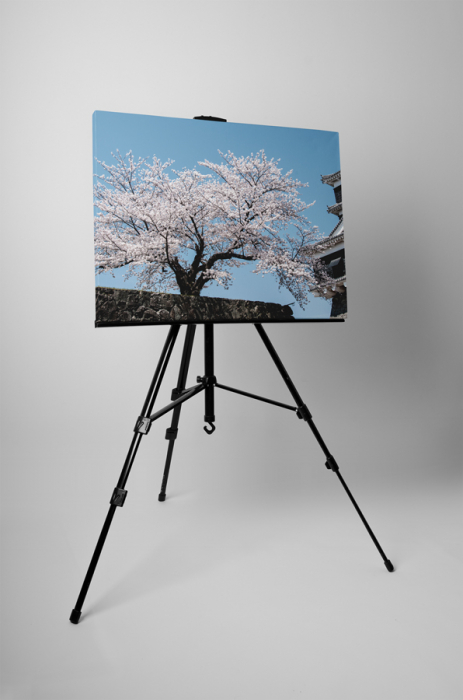 Tablou canvas : Cires japonez [3]
