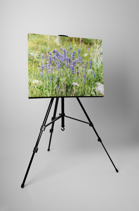 Tablou canvas : Flori de camp [3]