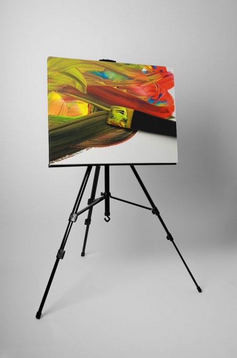 Tablou canvas : Pensula colorata [3]
