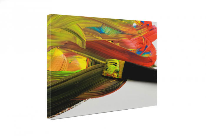 Tablou canvas : Pensula colorata [5]