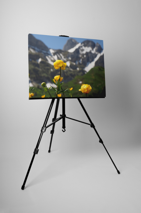 Tablou canvas : Inul galben [3]