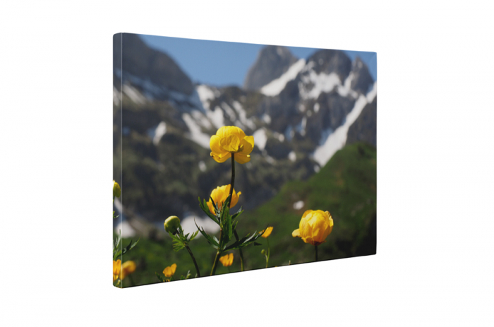 Tablou canvas : Inul galben [5]