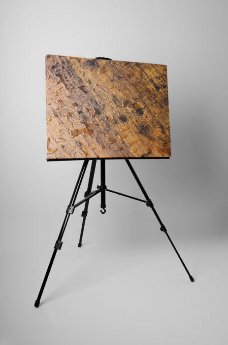 Tablou canvas : Podea umed [3]